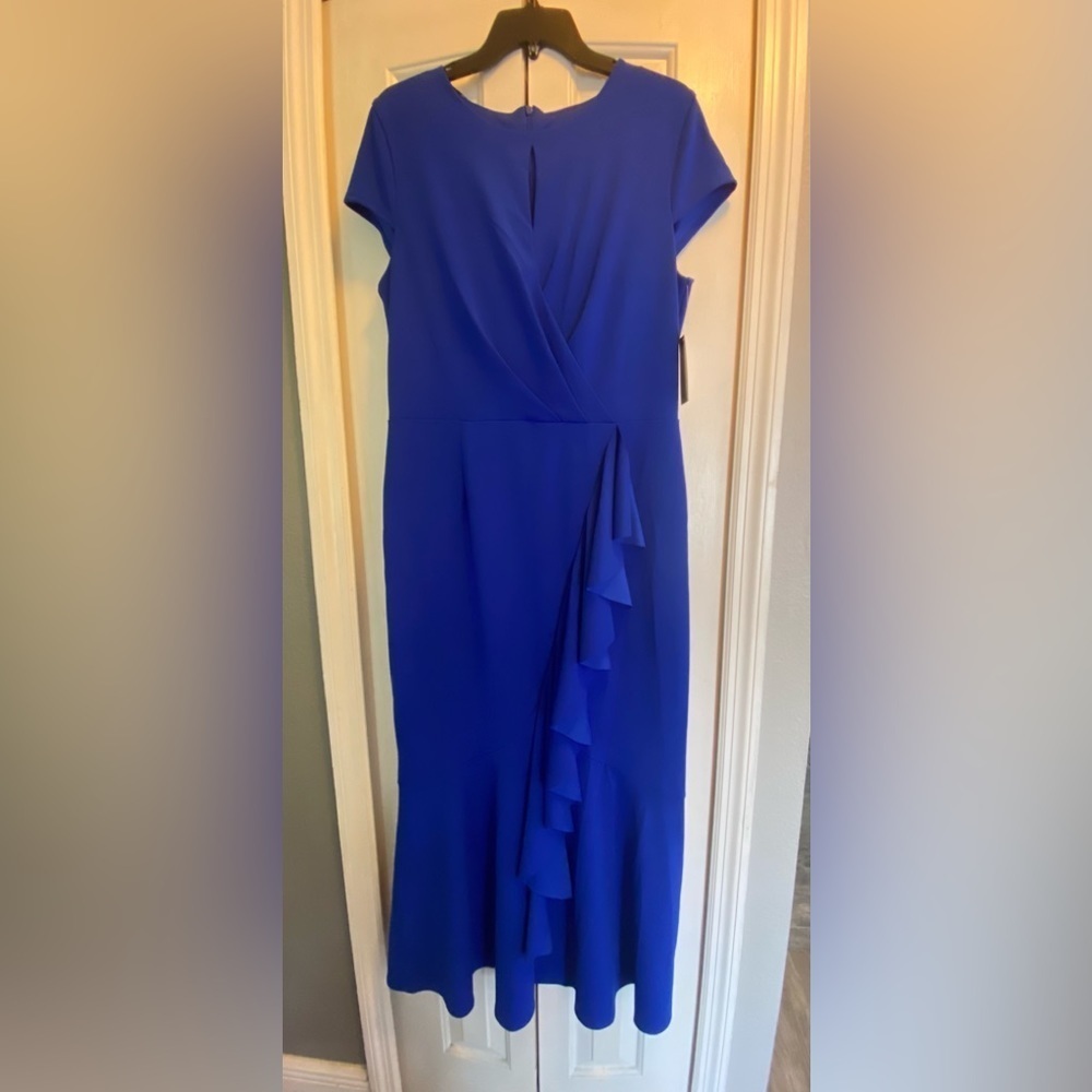 Alexa B Nites Beautiful evening Dress